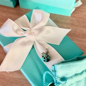 Tiffany & Co Enamel Ladybug charm in 925 Sterling silver
